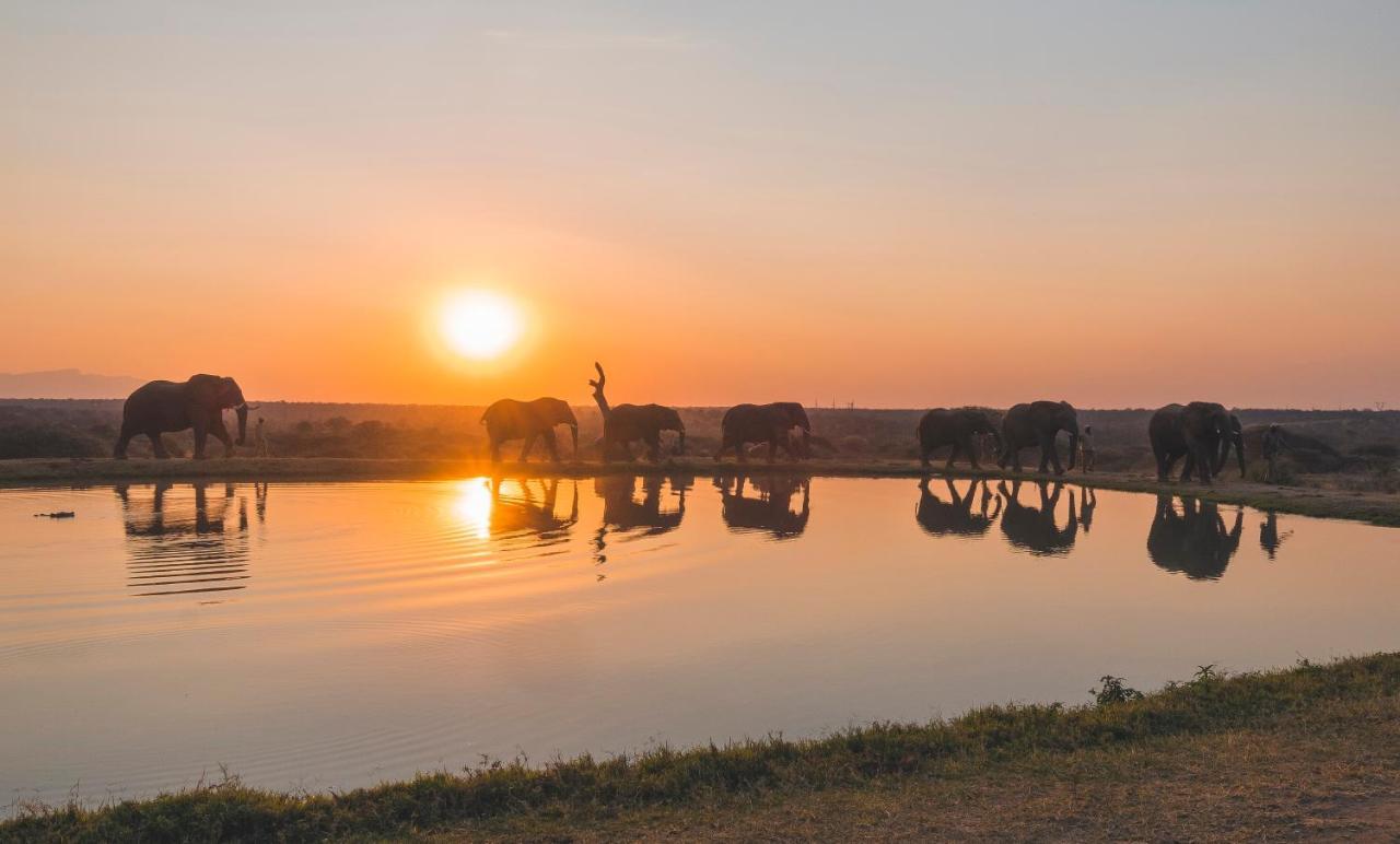 Вилла Jabulani Safari Kapama Game Reserve Экстерьер фото