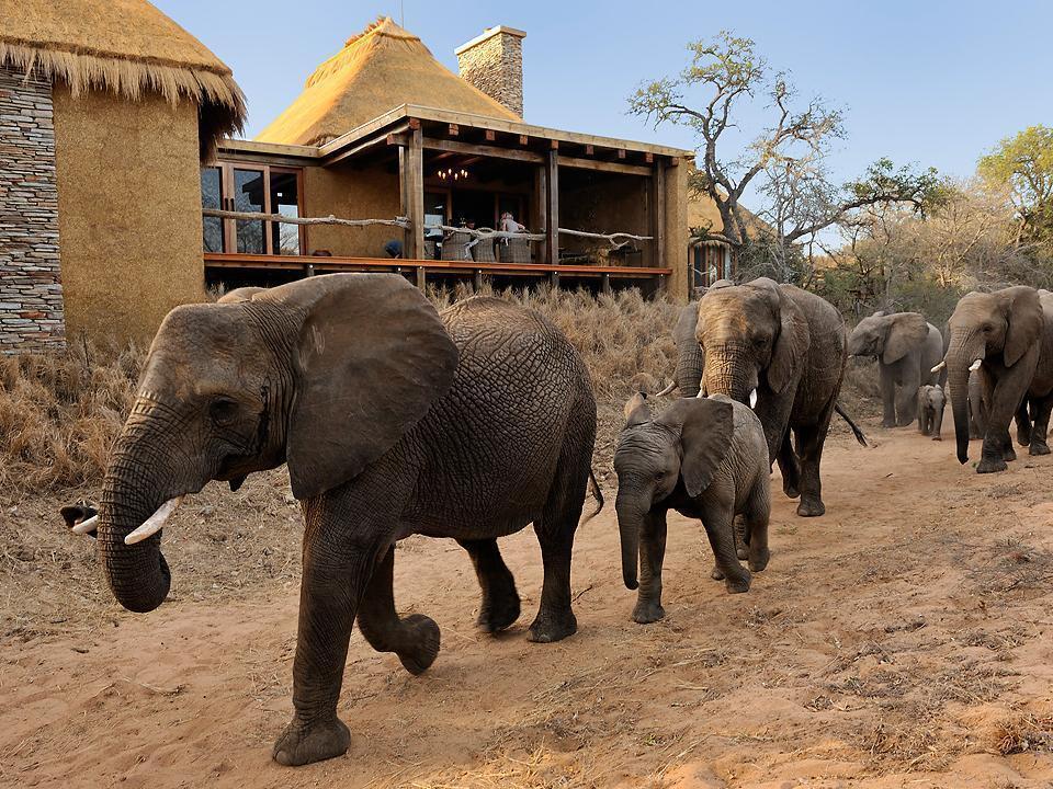 Вилла Jabulani Safari Kapama Game Reserve Экстерьер фото