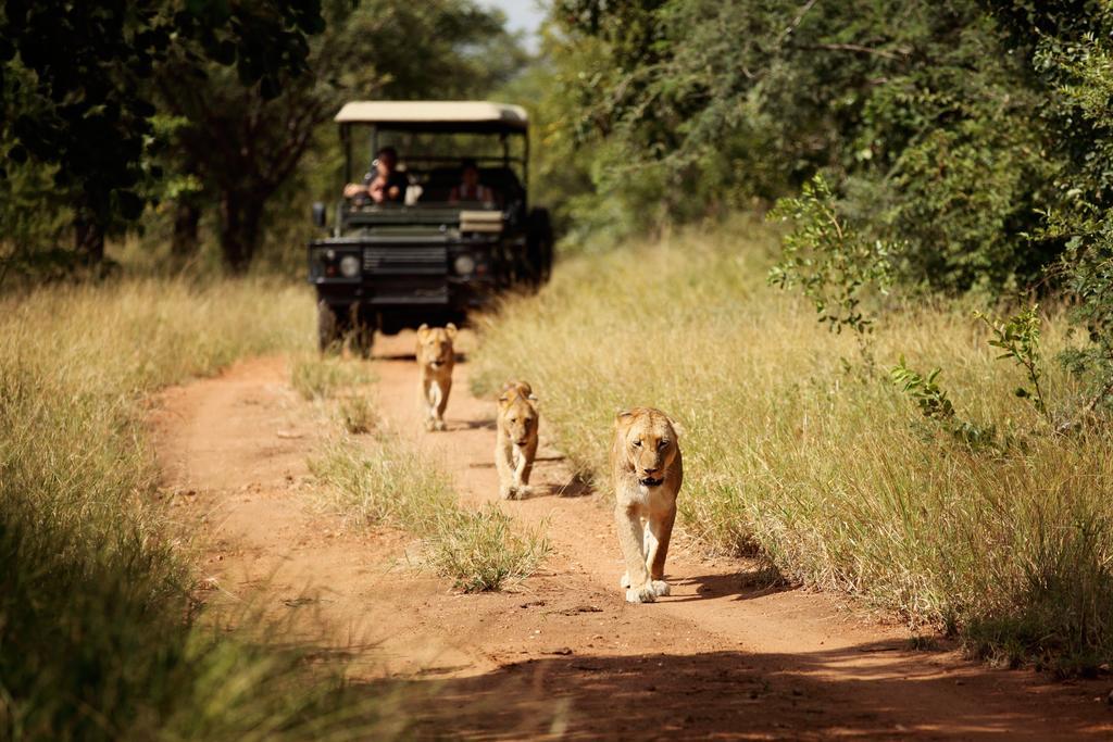 Вилла Jabulani Safari Kapama Game Reserve Экстерьер фото