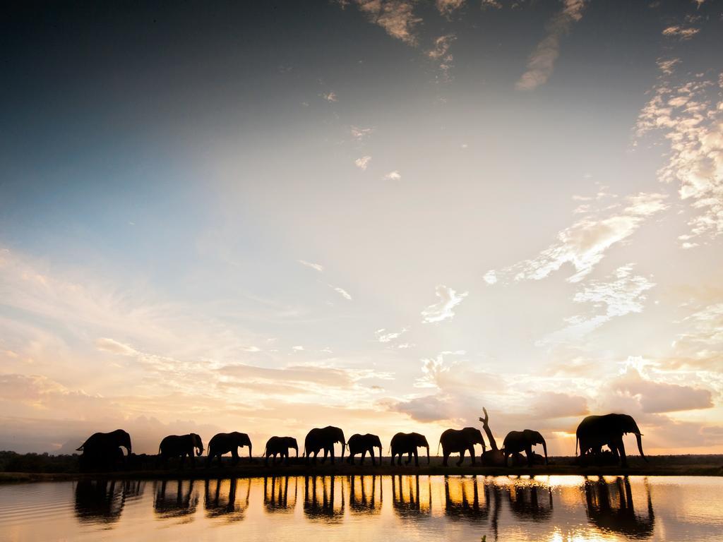 Вилла Jabulani Safari Kapama Game Reserve Экстерьер фото
