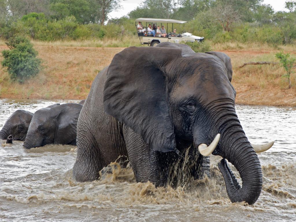 Вилла Jabulani Safari Kapama Game Reserve Экстерьер фото