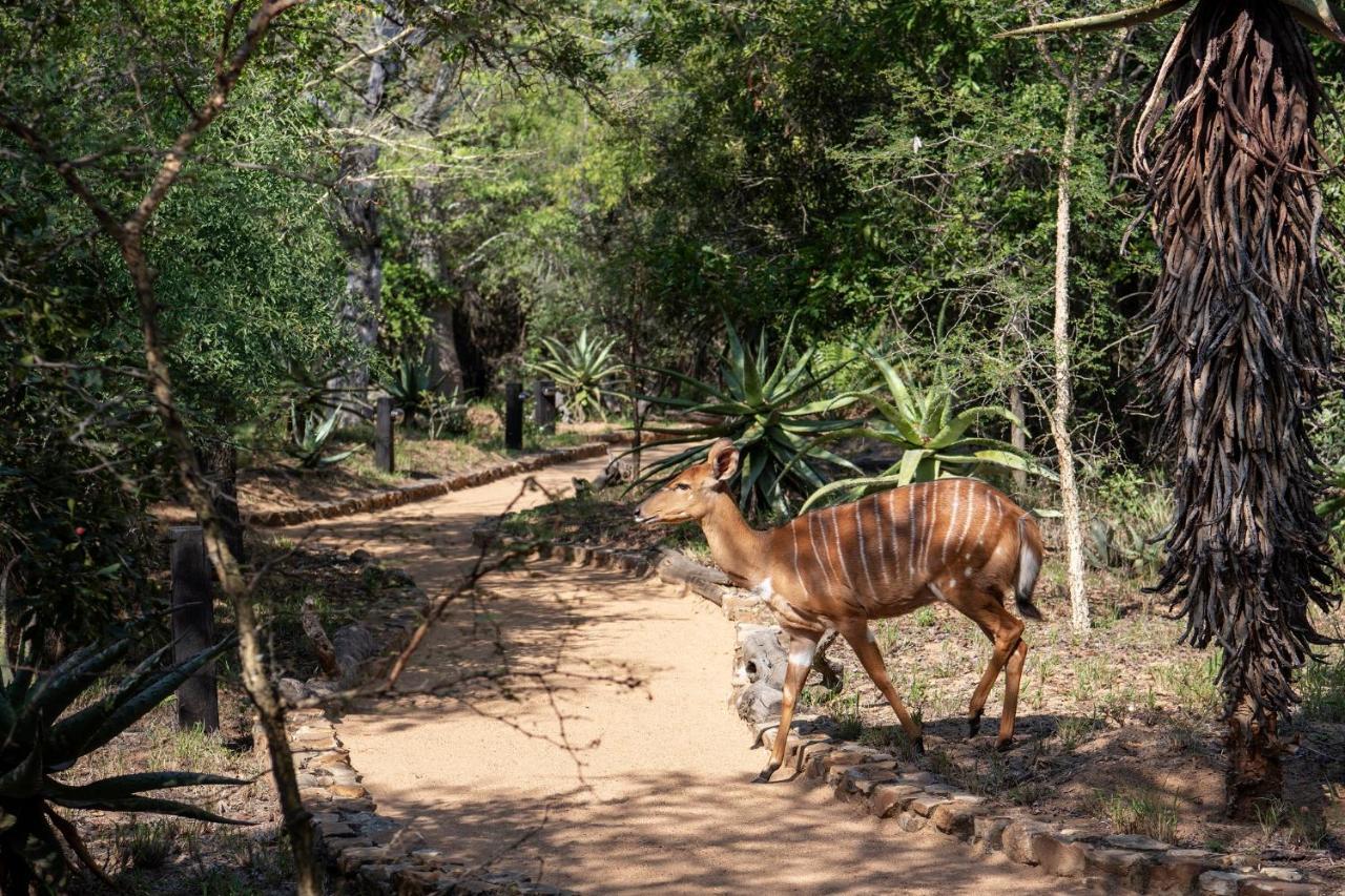 Вилла Jabulani Safari Kapama Game Reserve Экстерьер фото