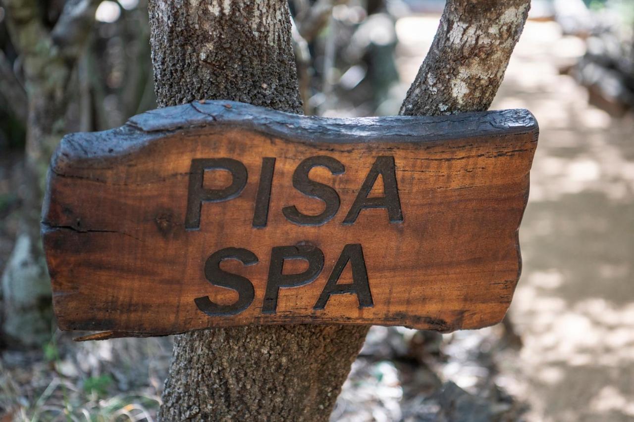 Вилла Jabulani Safari Kapama Game Reserve Экстерьер фото